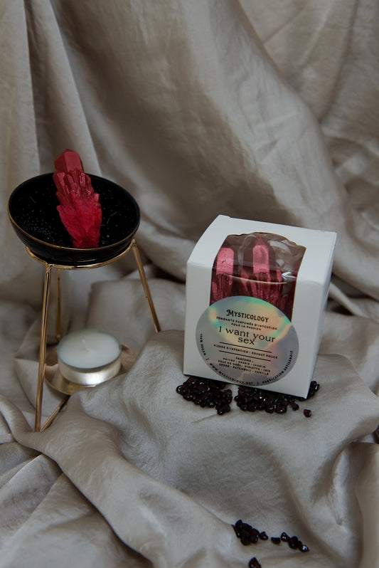 "I WANT YOUR S*X", pour la passion, grenat rouge, boîte de 3 fondants parfumés d'intention